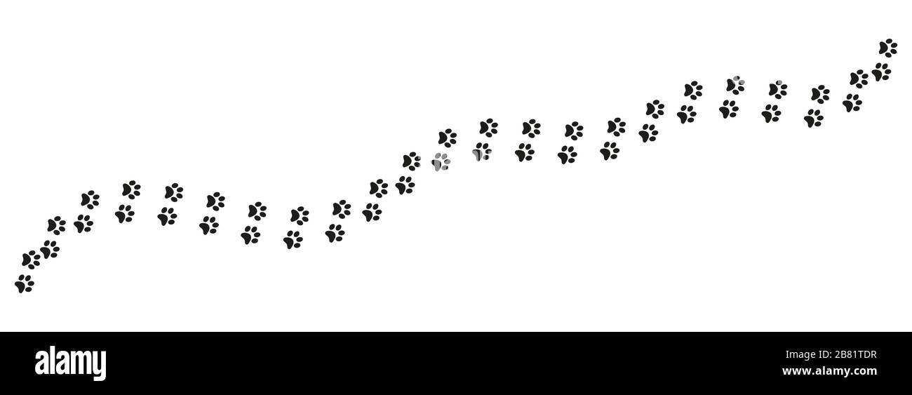 Track of cat dog tracks, footprint, design Stock Vector Image & Art Alamy