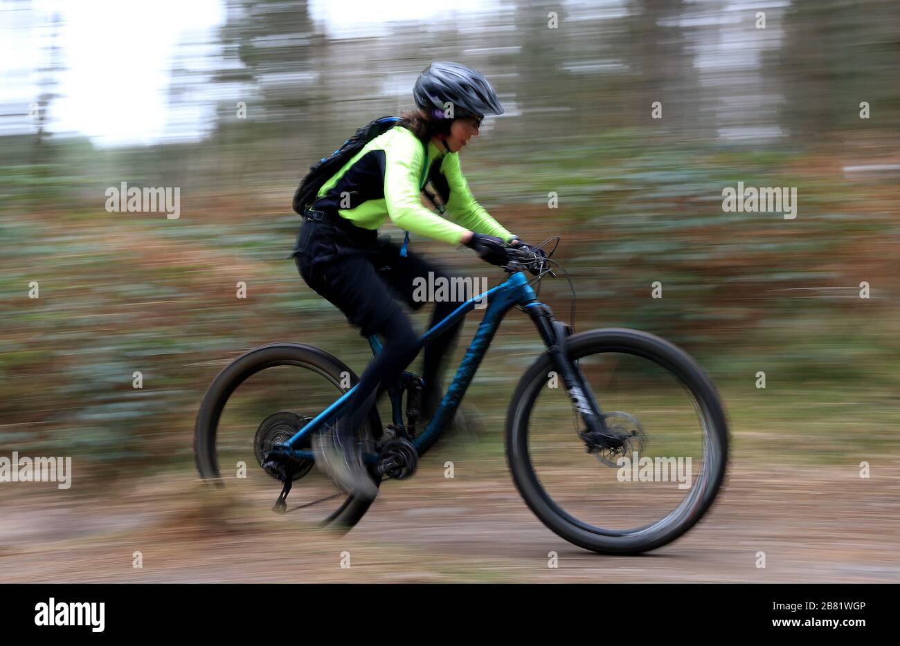 Cyclists follow the trails around Sherwood Pines, Nottingham. NHS England announced that the coronavirus death toll had reached 104 in the UK. Stock Photo