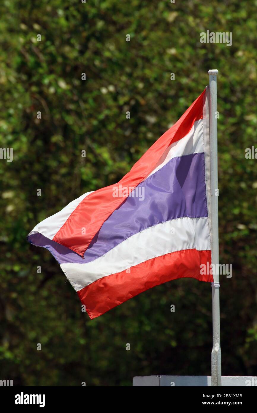 obligatorisk Besøg bedsteforældre en gang Thailand flag, Flag thai on blurred nature tree background, red blue white  flag thailand Stock Photo - Alamy