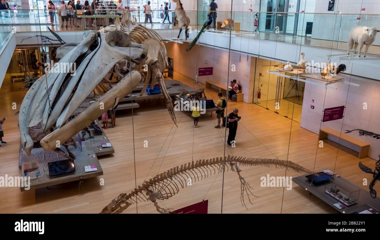 Trento 2019. Main room of the Science Museum, or MUSE. We are on a hot summer day and the museum is a destination for hundreds of tourists a day. Augu Stock Photo