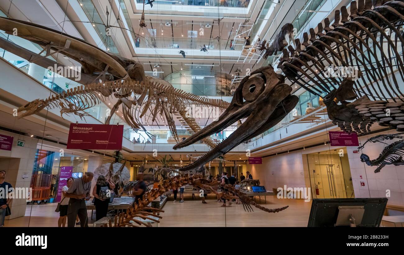 Trento 2019. Main room of the Science Museum, or MUSE. We are on a hot summer day and the museum is a destination for hundreds of tourists a day. Augu Stock Photo