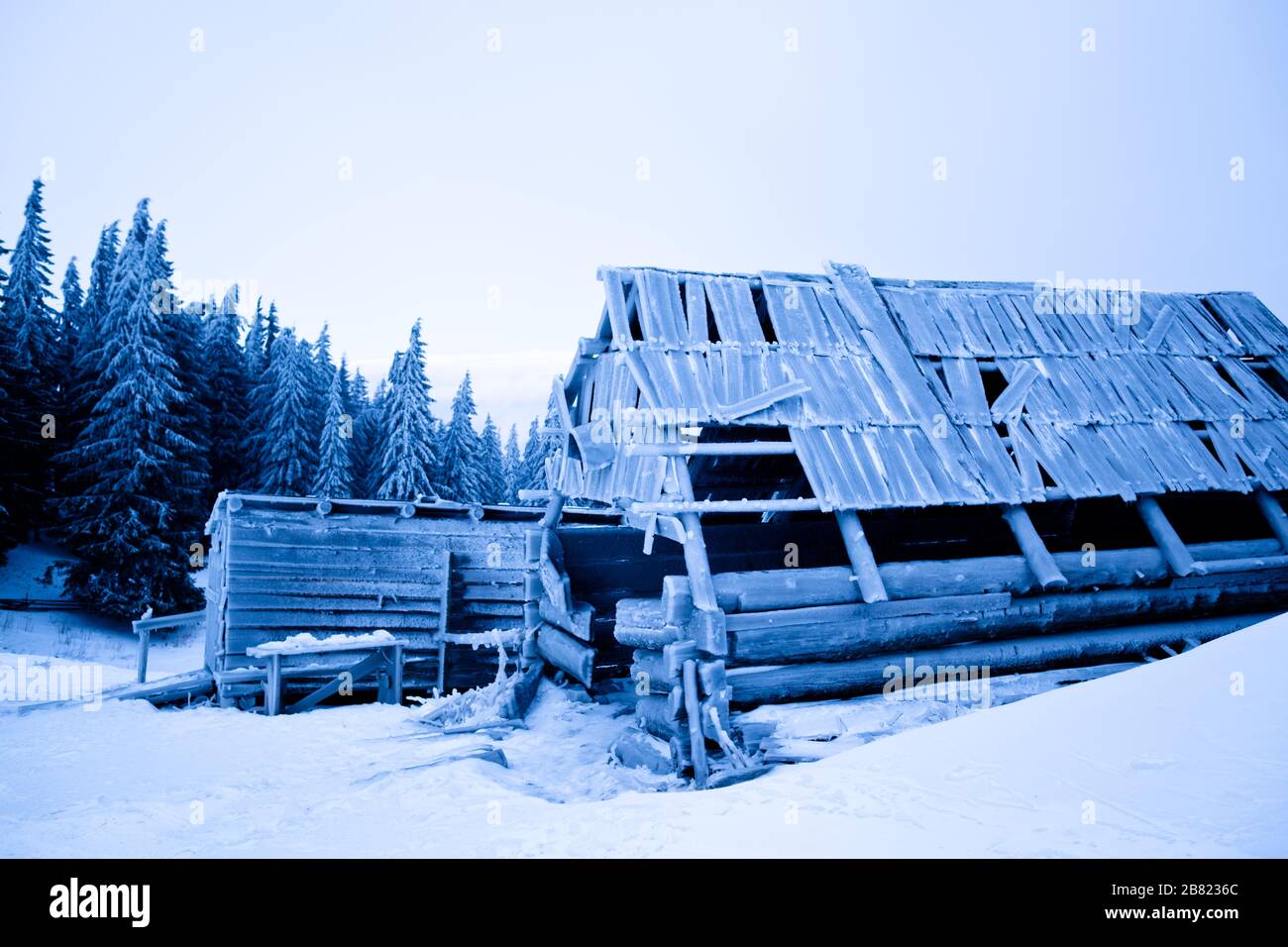 Abandoned house covered with frost over winter forest and snow ...