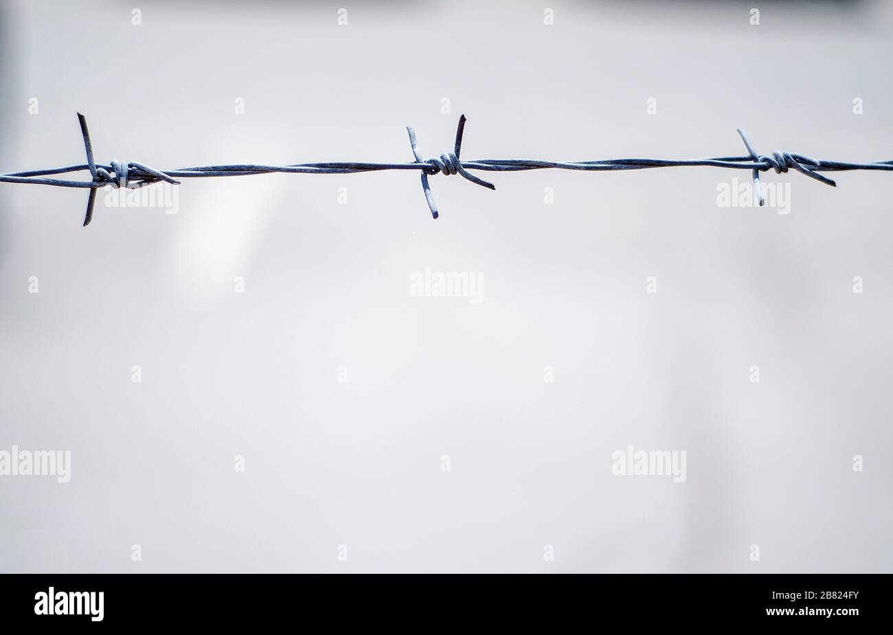 gray barbed wire gray barbed wire Stock Photo
