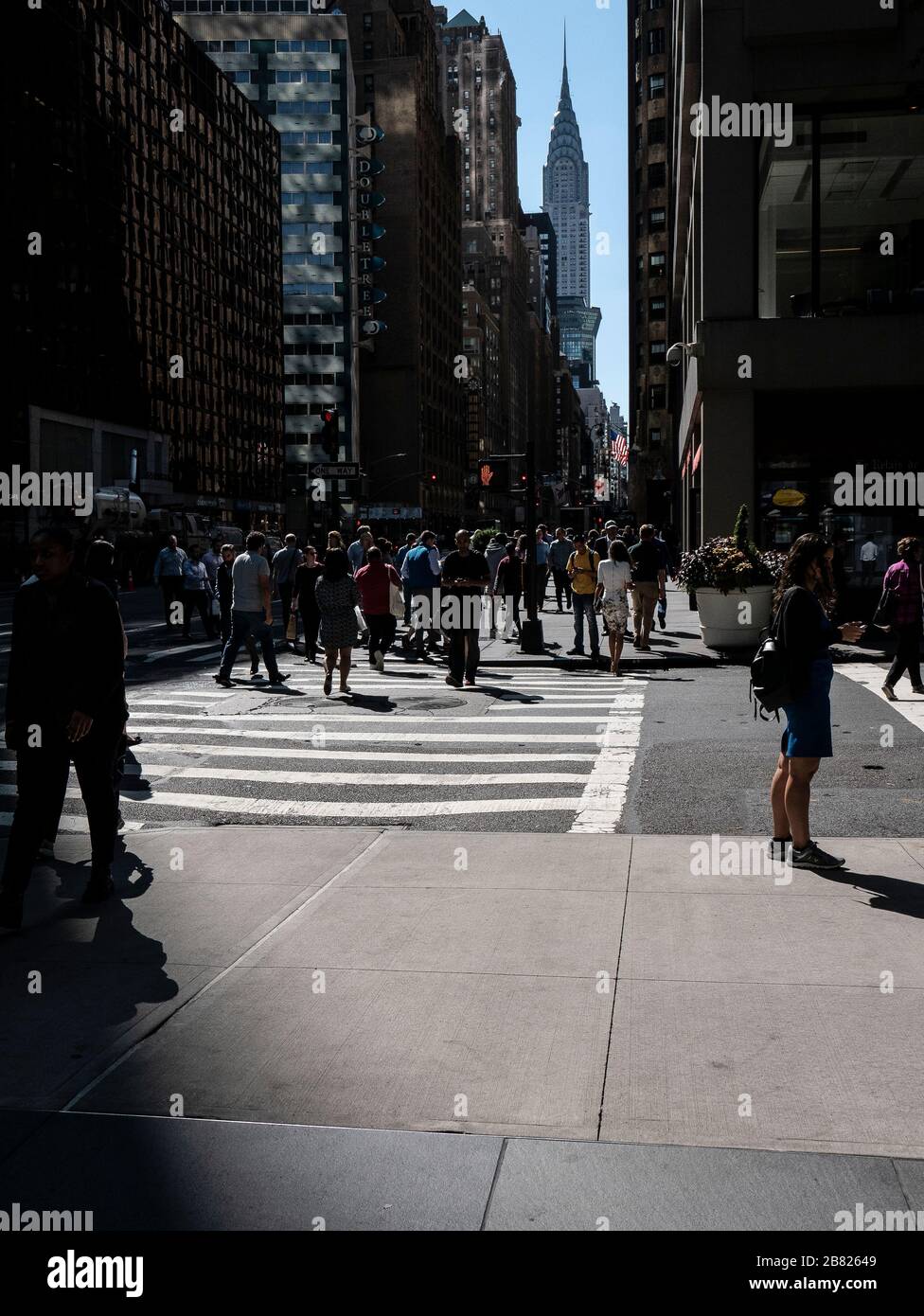 Pedestrians Crossing Road, Manhattan, New York City Stock Photo