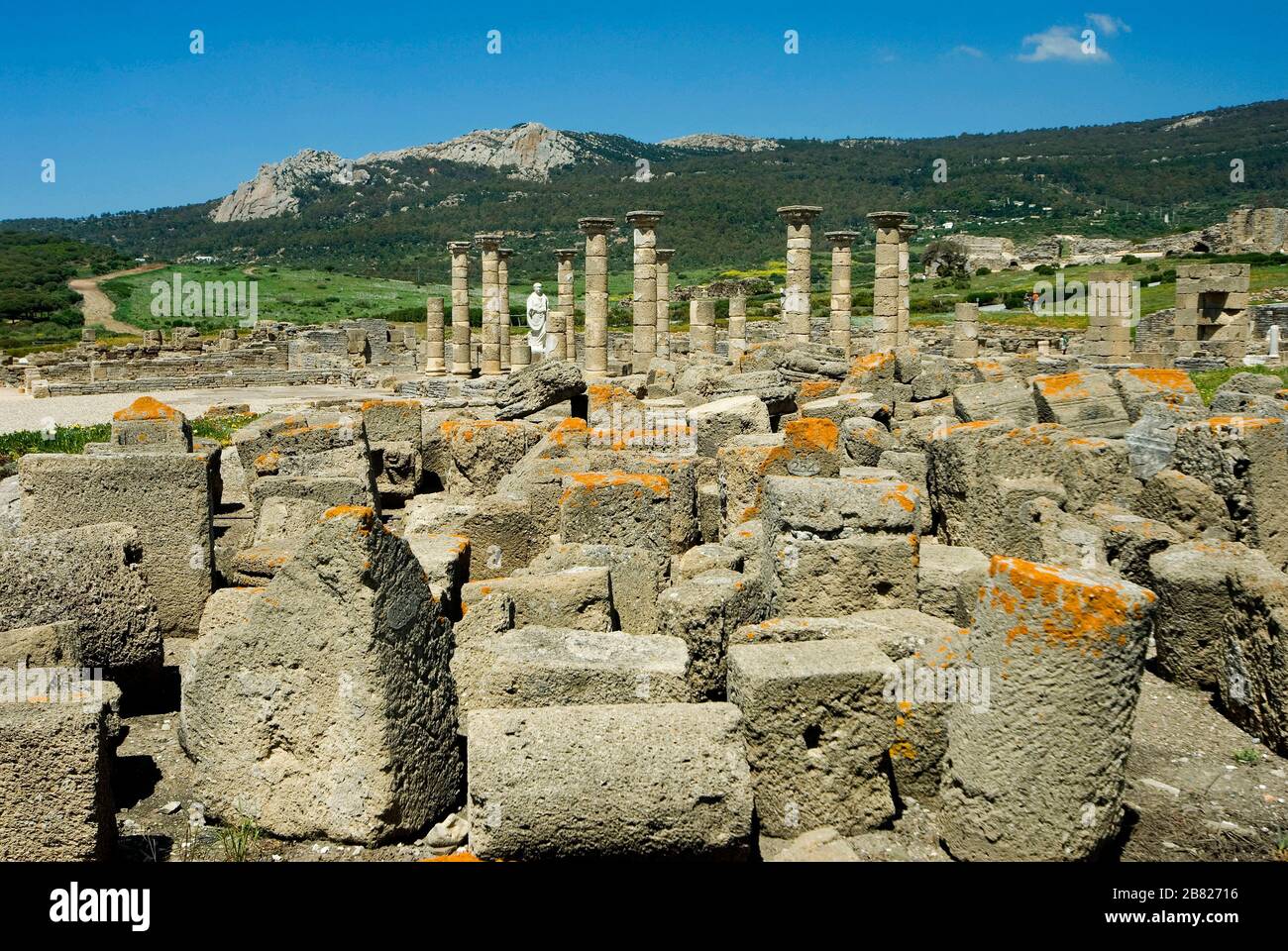 The basilica, ancient Roman town called Baelo Claudia,Tarifa, Campo de Gibraltar, Costa de la Luz, Cádiz, Andalucía, Spain, Europe Stock Photo