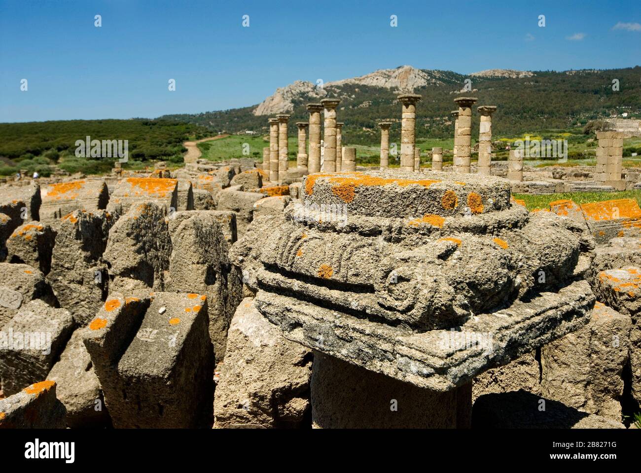 The basilica, ancient Roman town called Baelo Claudia,Tarifa, Campo de Gibraltar, Costa de la Luz, Cádiz, Andalucía, Spain, Europe Stock Photo