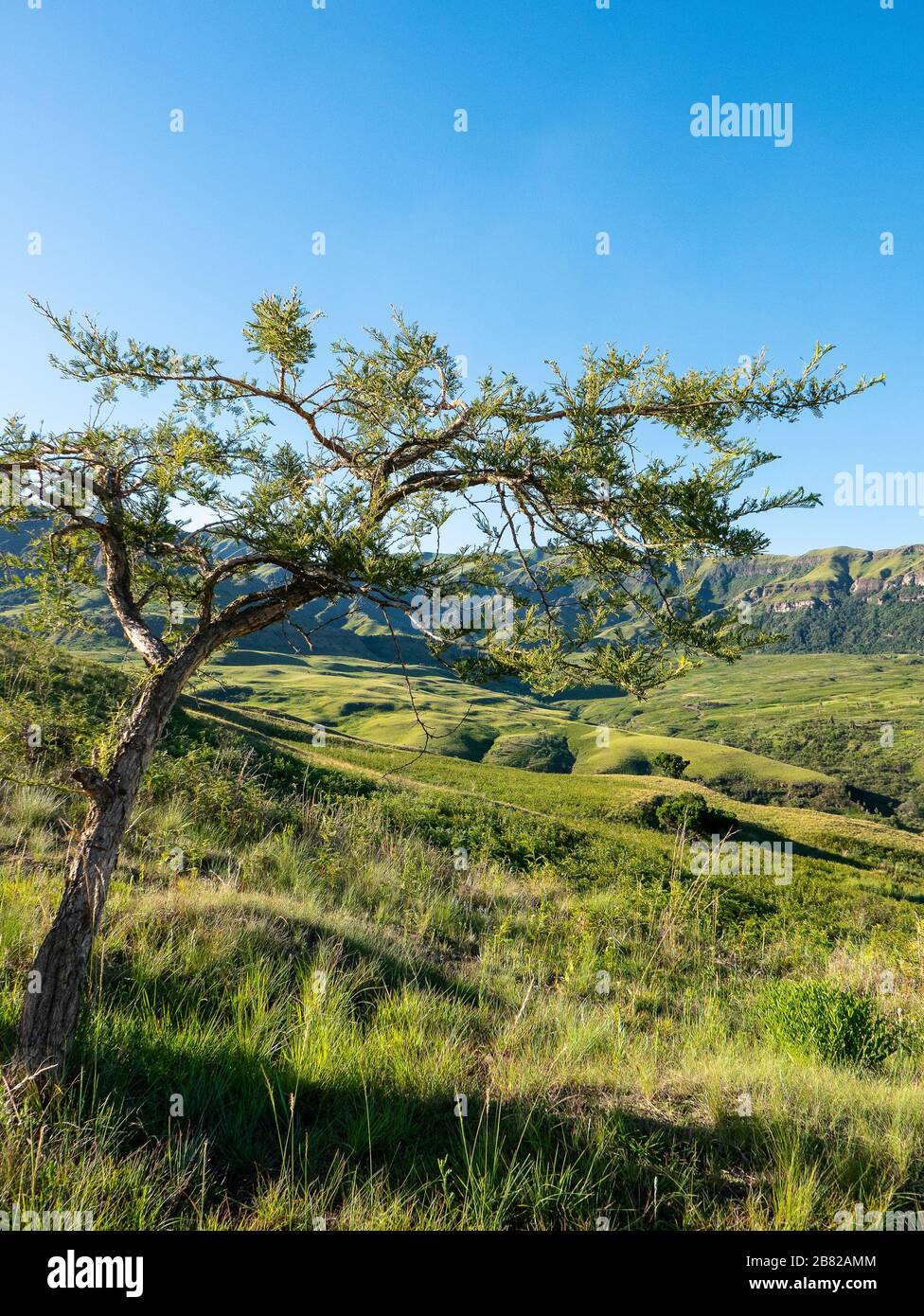 Rural Landscape, Drakensberg, South Africa Stock Photo