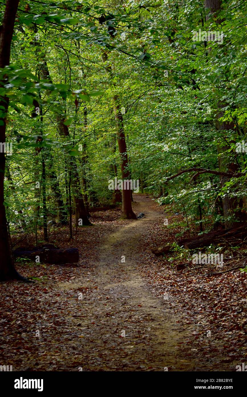 Rock Creek Park Walking Path, Washington DC Spring Time Stock Photo - Alamy