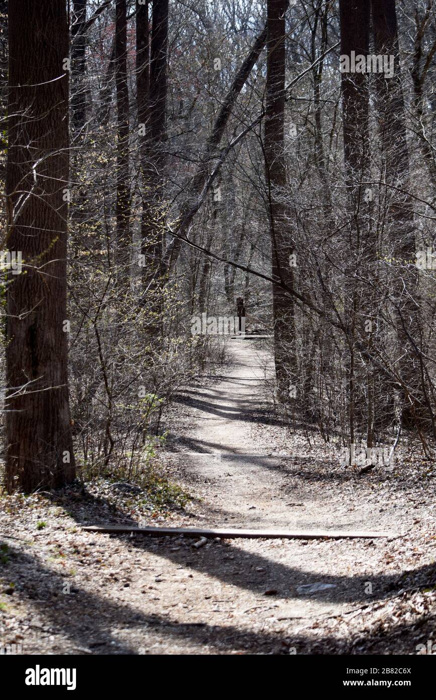 Rock Creek Park in Washington DC Trail Stock Photo - Alamy