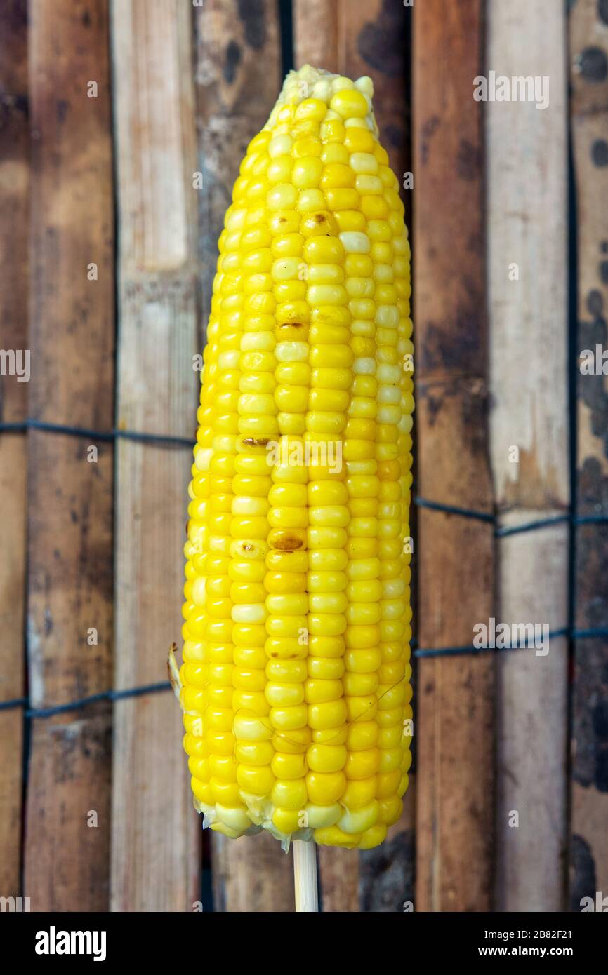 Corn on the cob sold as street food Stock Photo