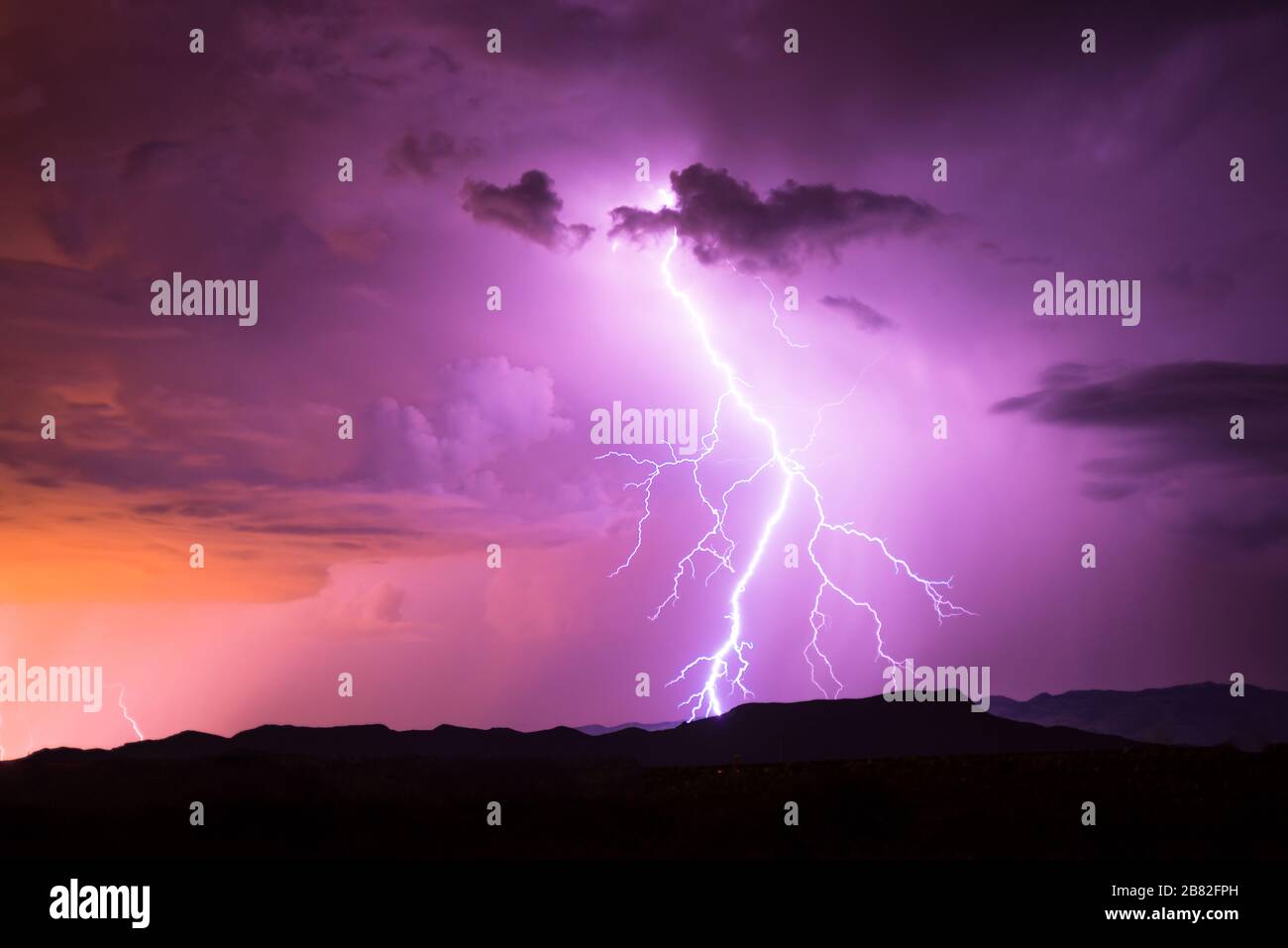 Monsoon in Sonora Desert Stock Photo