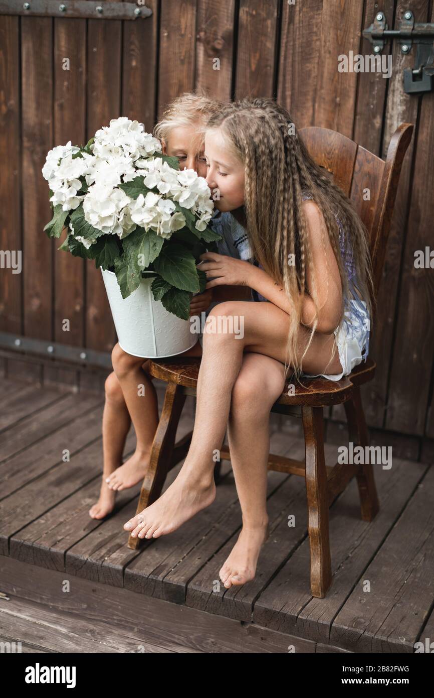 Children and flowers, summer, countryside and fun. Summer holiday. Two pretty little girls sitting on the chair in front of wooden barn and smelling h Stock Photo