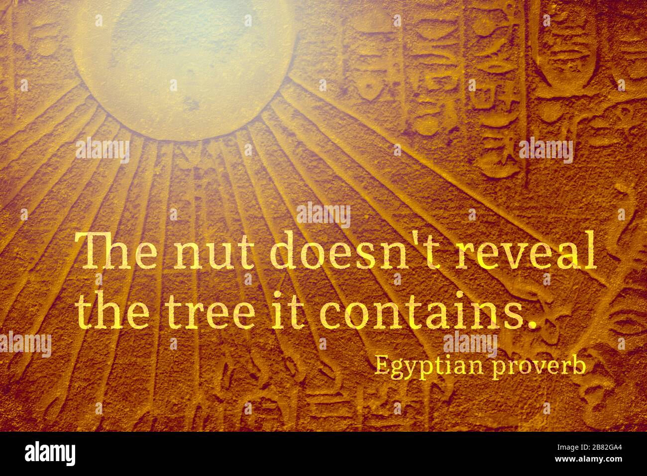 The Nut Does Not Reveal The Tree It Contains Ancient Egyptian Proverb Citation Stock Photo Alamy