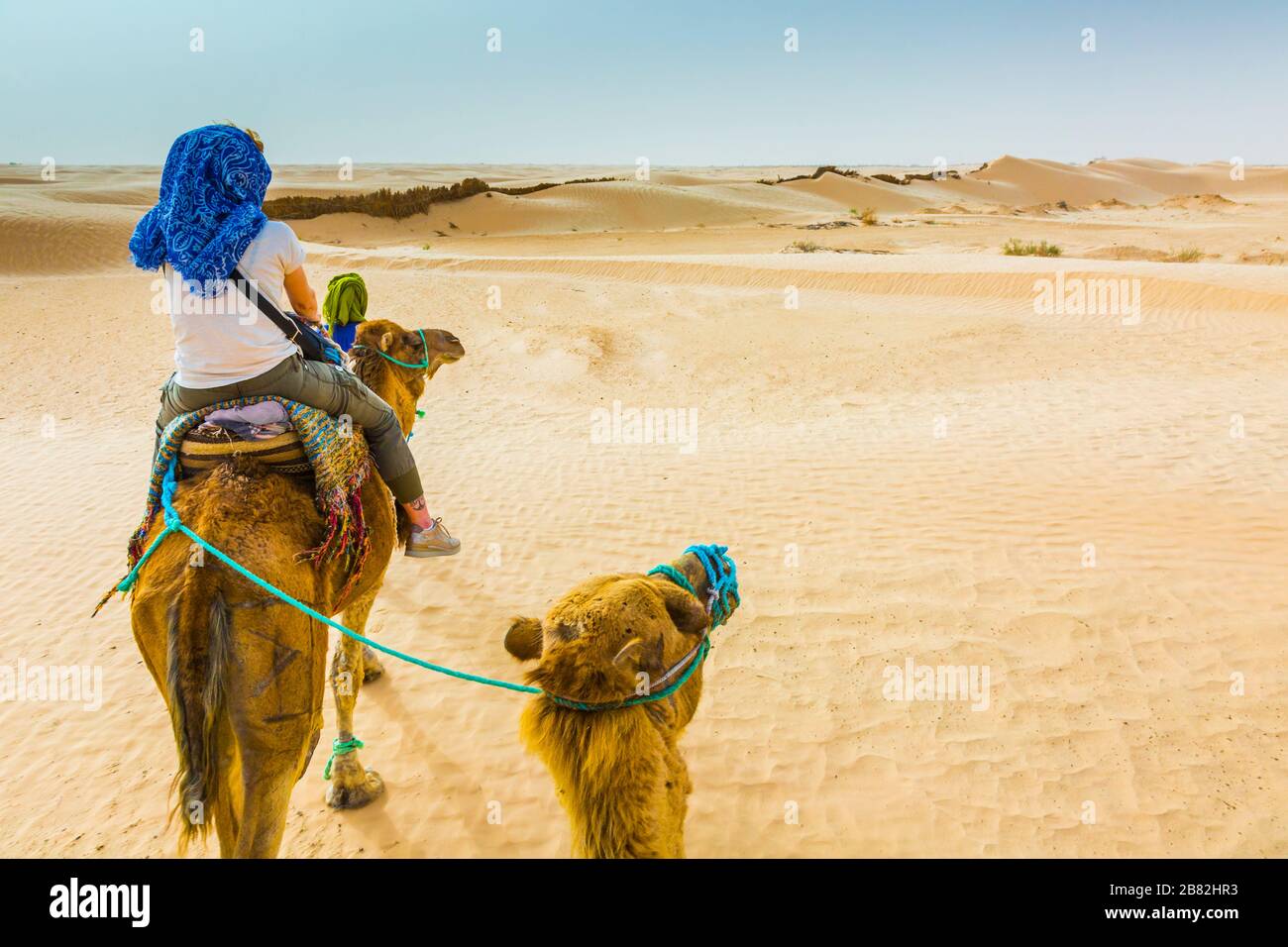 Woman in a dromedary ride in the desert. Stock Photo