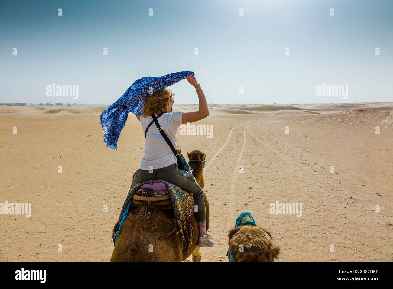 Woman in a dromedary ride in the desert. Stock Photo