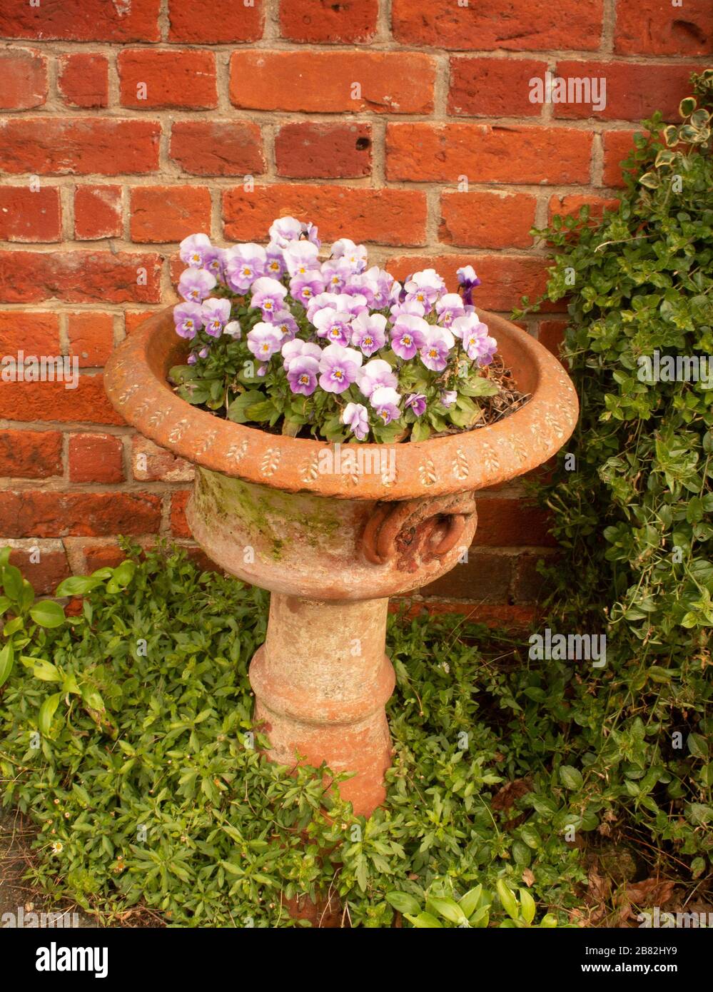 Pansy Pot Orford Ness Suffolk East Anglia East Coast River Alde Castle Stock Photo