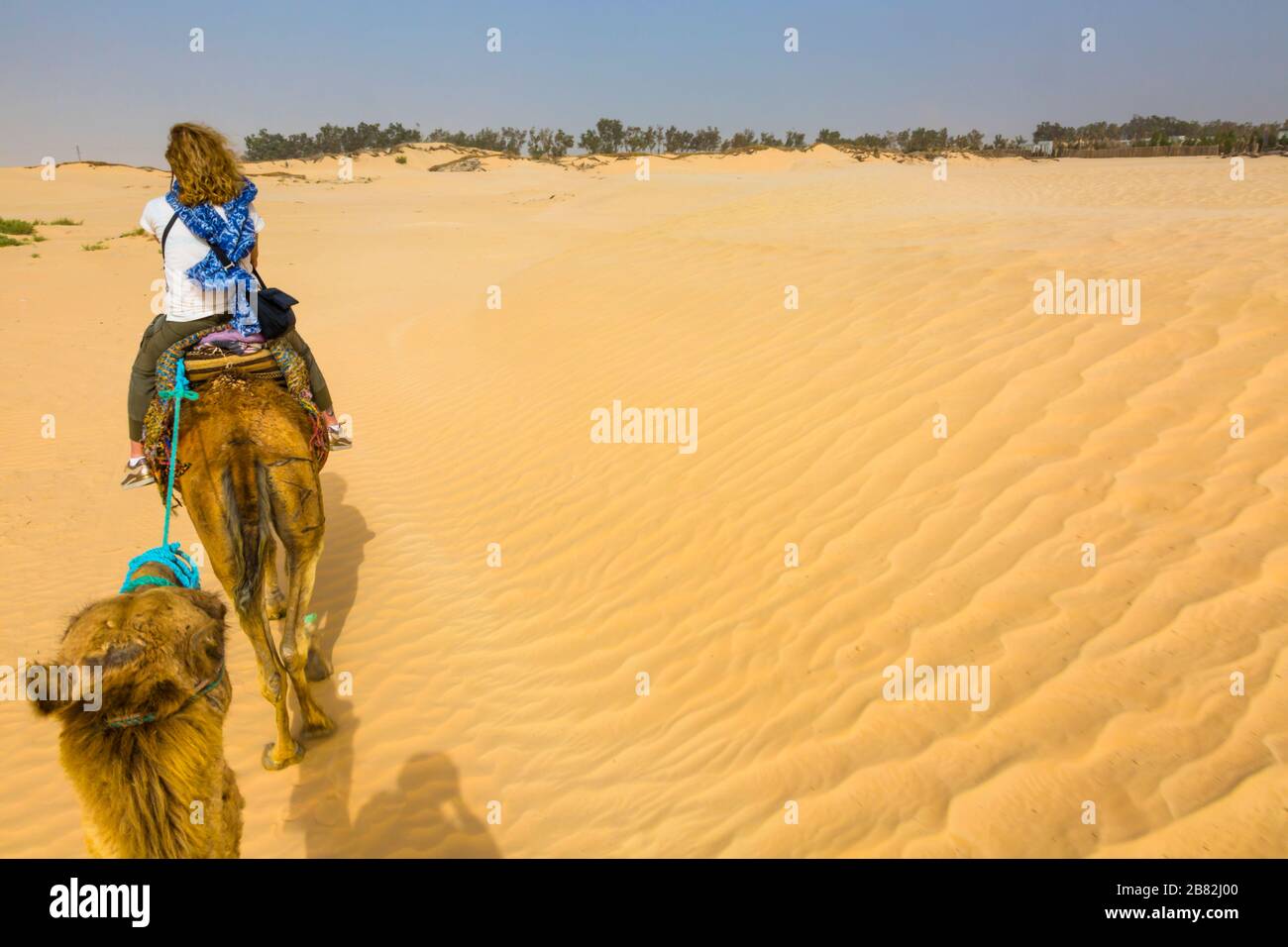 Arabian woman in desert hi-res stock photography and images - Alamy