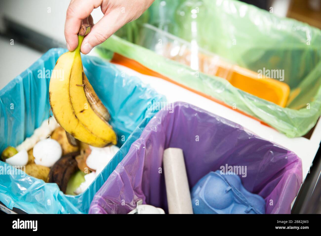 Woman putting banana peel in recycling bio bin in the kitchen. Person in the house kitchen separating waste. Different trash can with colorful garbage Stock Photo