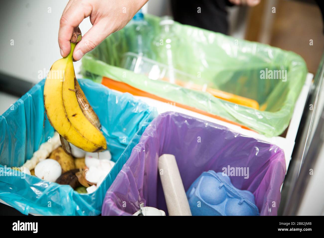 Woman putting banana peel in recycling bio bin in the kitchen. Person in the house kitchen separating waste. Different trash can with colorful garbage Stock Photo