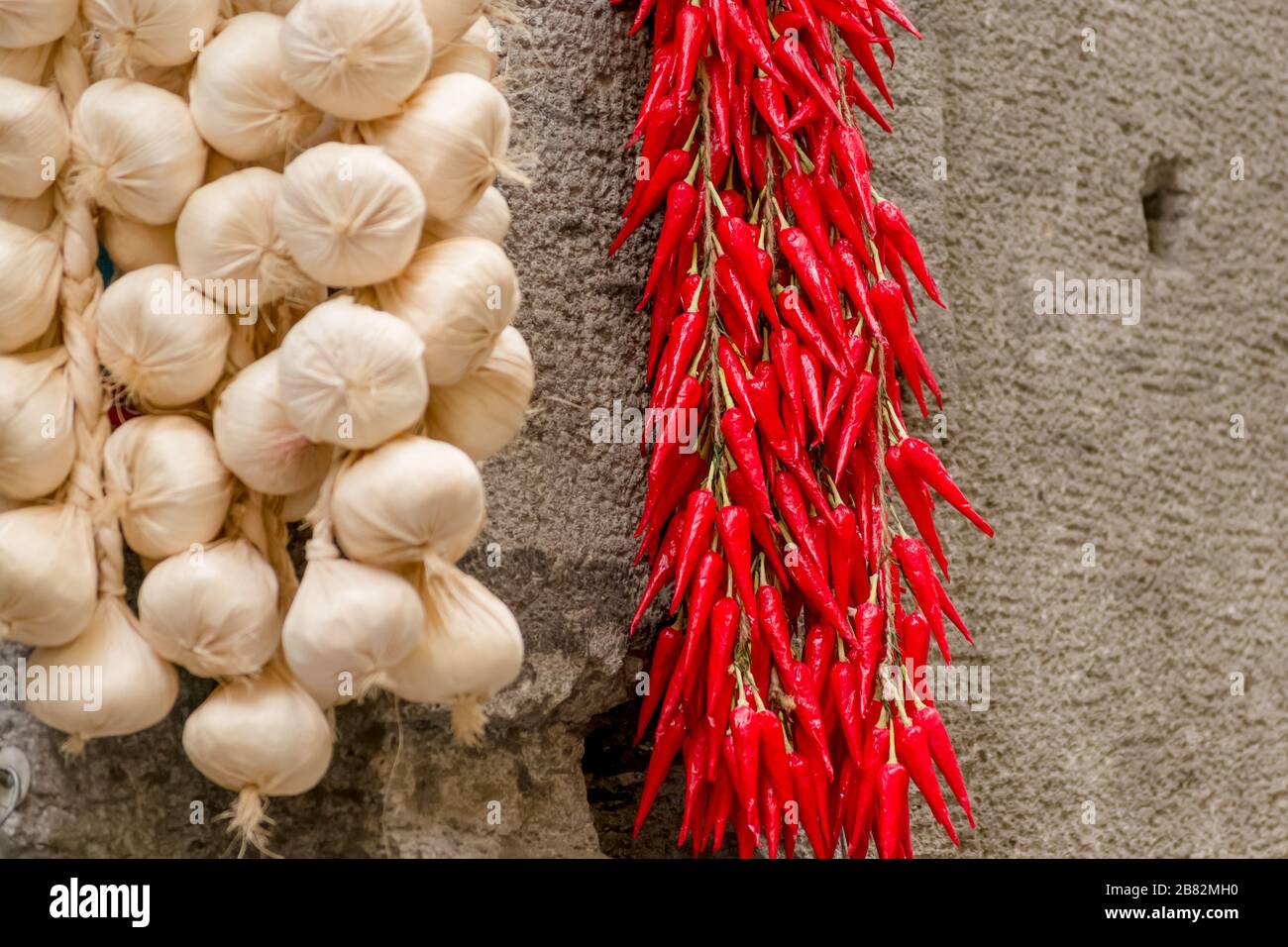 Garlic and chili pepper, red and white. Two typical mediterranean food
