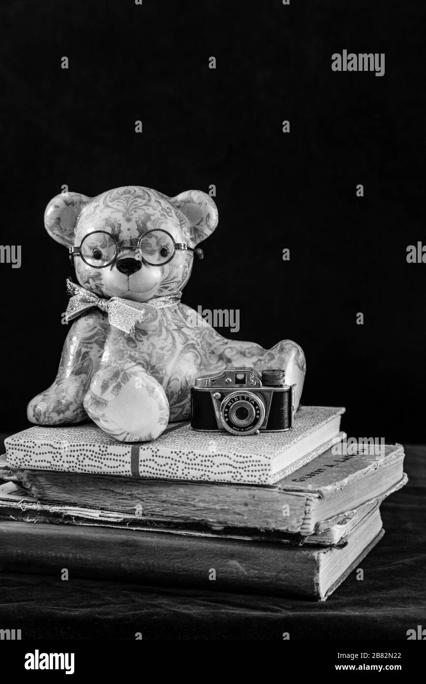 teddy bear still life Stock Photo