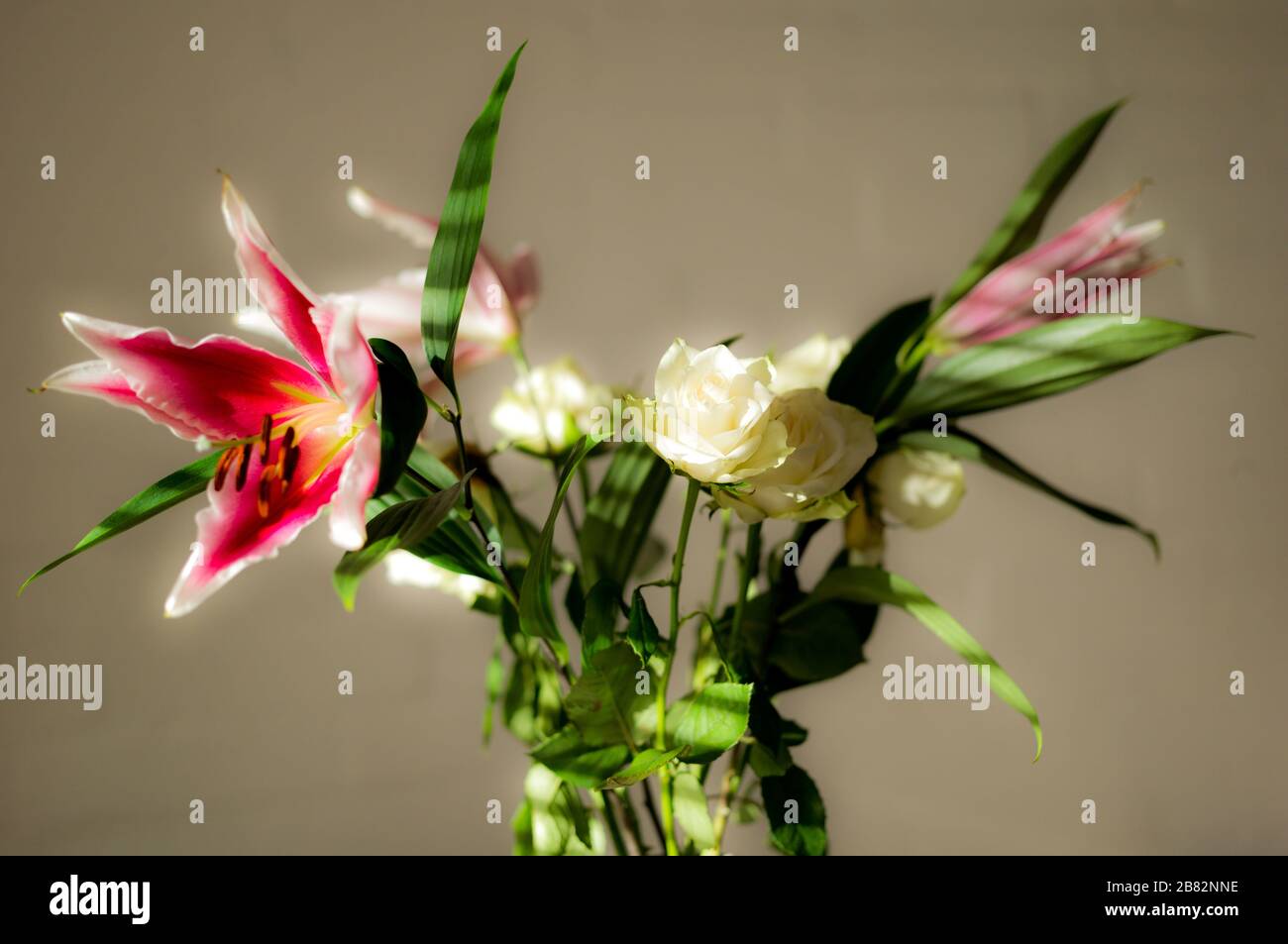 roses and lillies Stock Photo
