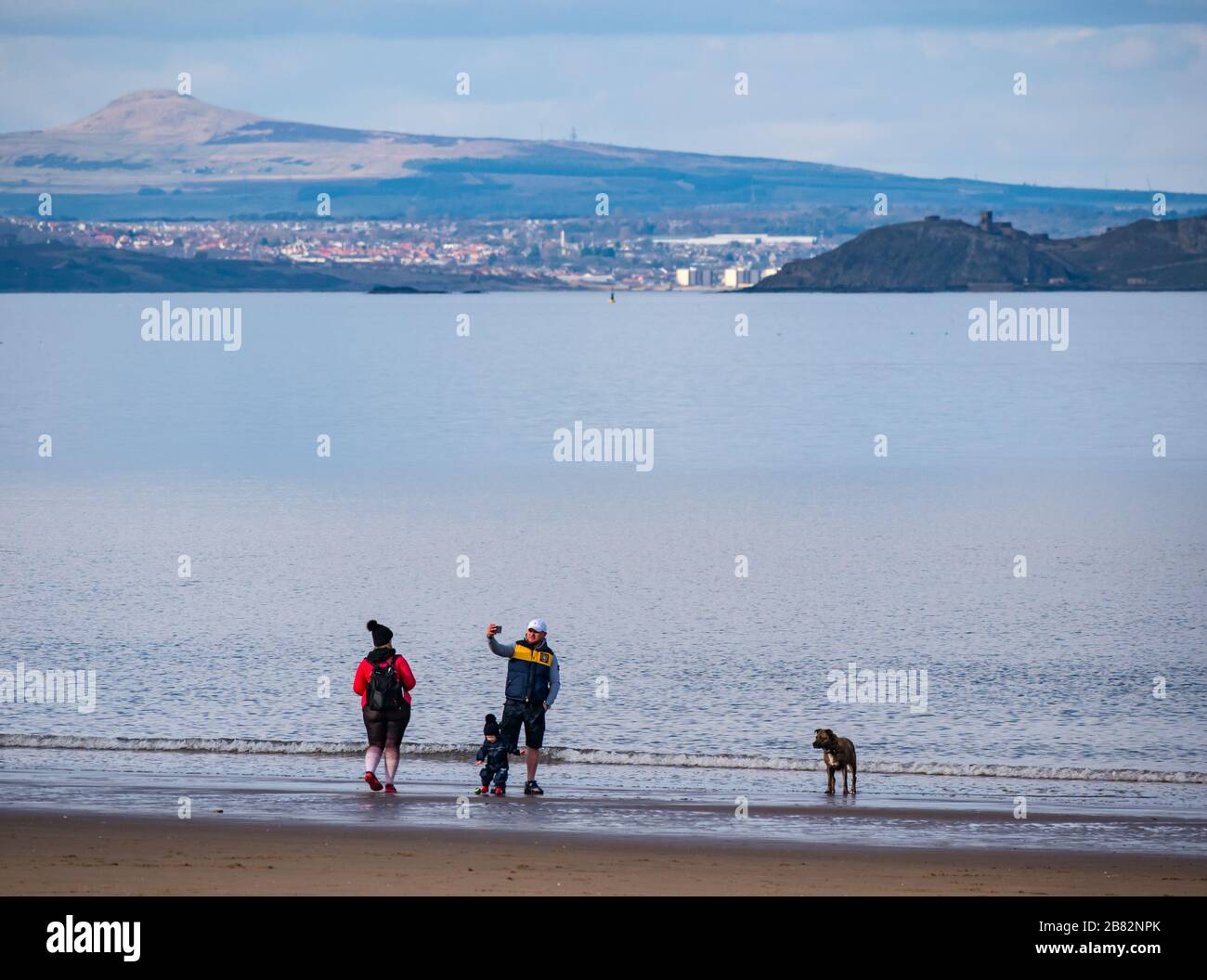 Taking photo of dog at the seaside hires stock photography and images