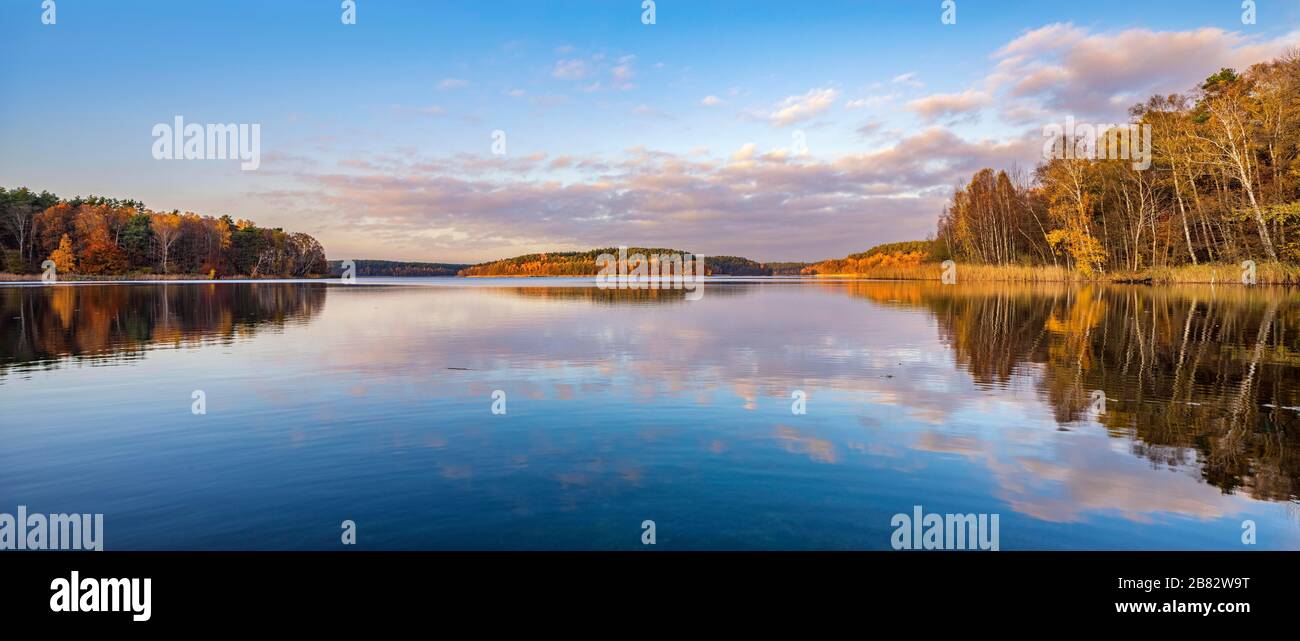 Grosser Fuerstensee Lake, also known as Fuerstensee, in autumn, evening light, forest reflects, Mueritz National Park, subarea Serrahn Stock Photo