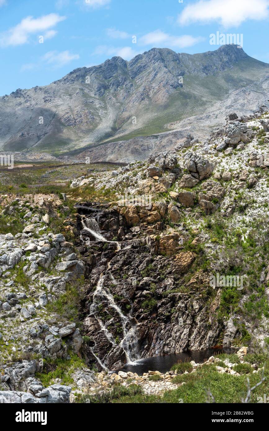 Kogelberg, western Cape, South Africa. Dec 2019. Waterfall draining into a small waterhole. Stock Photo