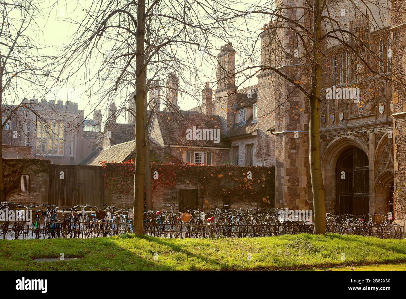 Bicycles parked in front of building, Cambridge University, England, United Kingdom Stock Photo