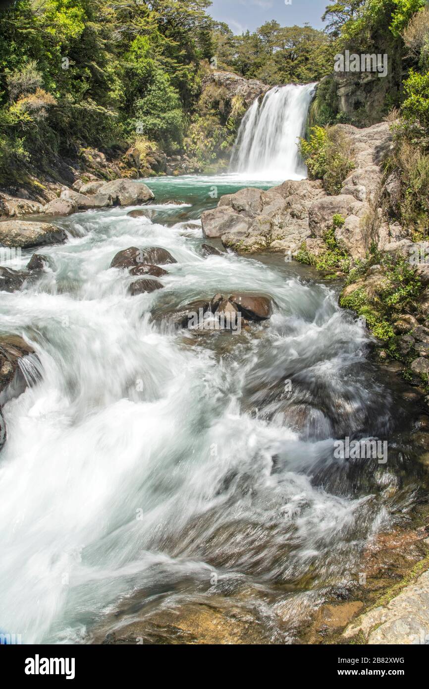 view of Tawhai Falls, near Turangi, North Island, New Zealand Stock Photo