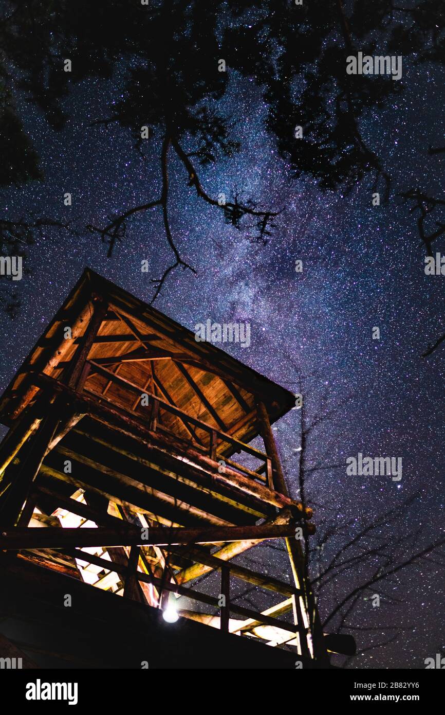 Star filled night sky. watchtower in the forest at night Stock Photo