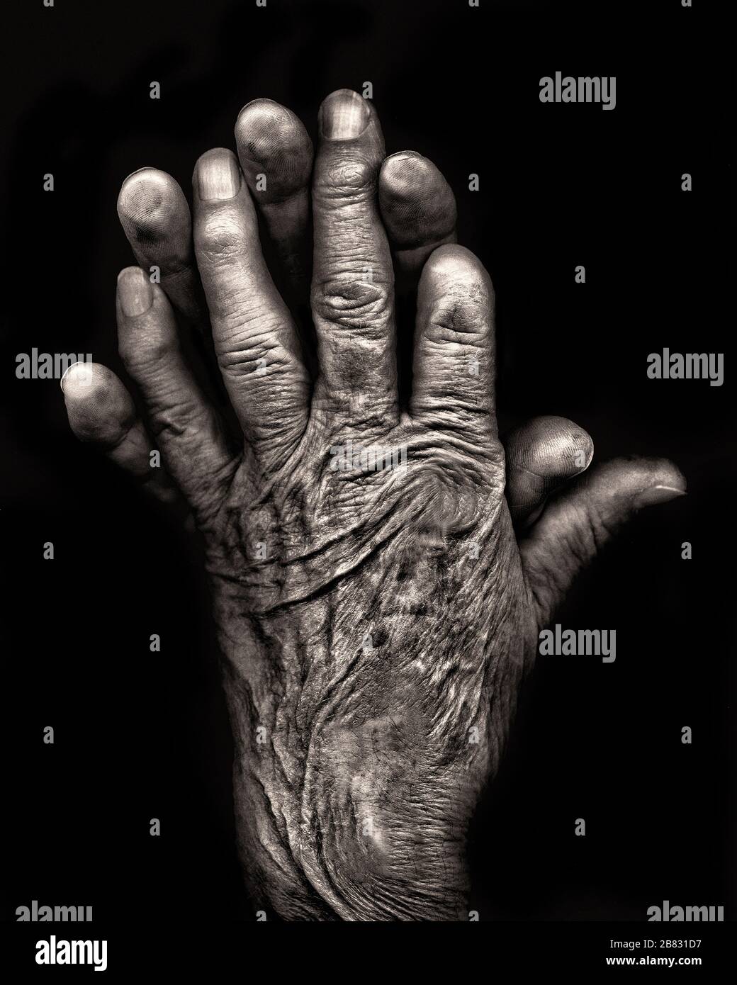 Two Wrinkled Hands against Black Background Stock Photo