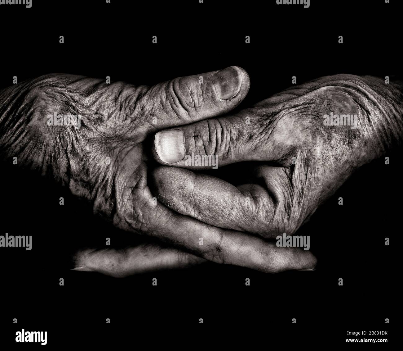 Two Wrinkled Hands against Black Background Stock Photo