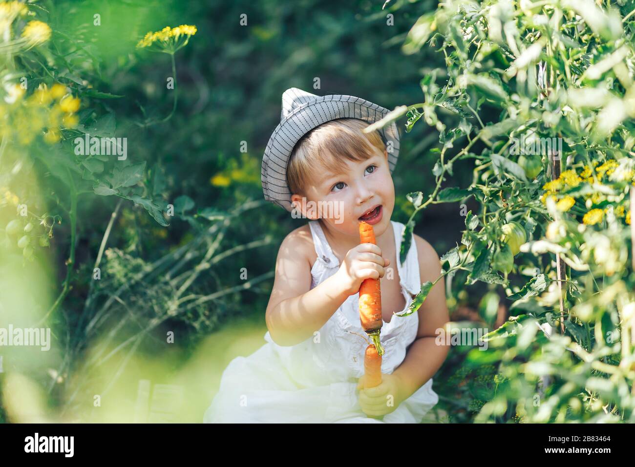 baby farmer hat