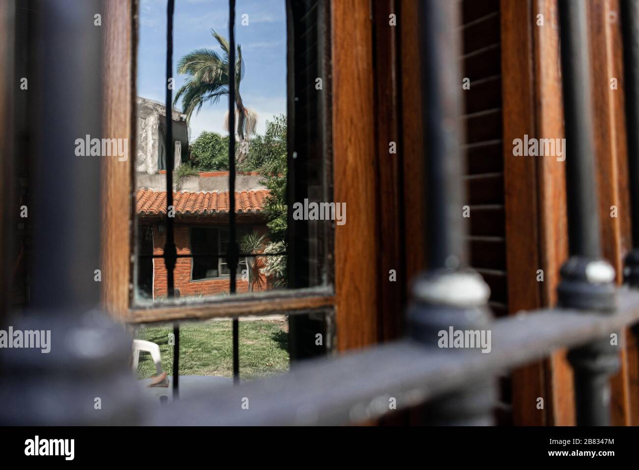 House and palm tree on window reflection Stock Photo