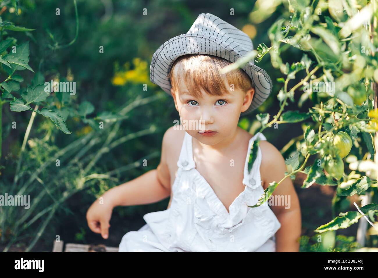 cute boy in hat and casual clothes sitting around tomatoes ang looking at camera, kid model posing in garden Stock Photo
