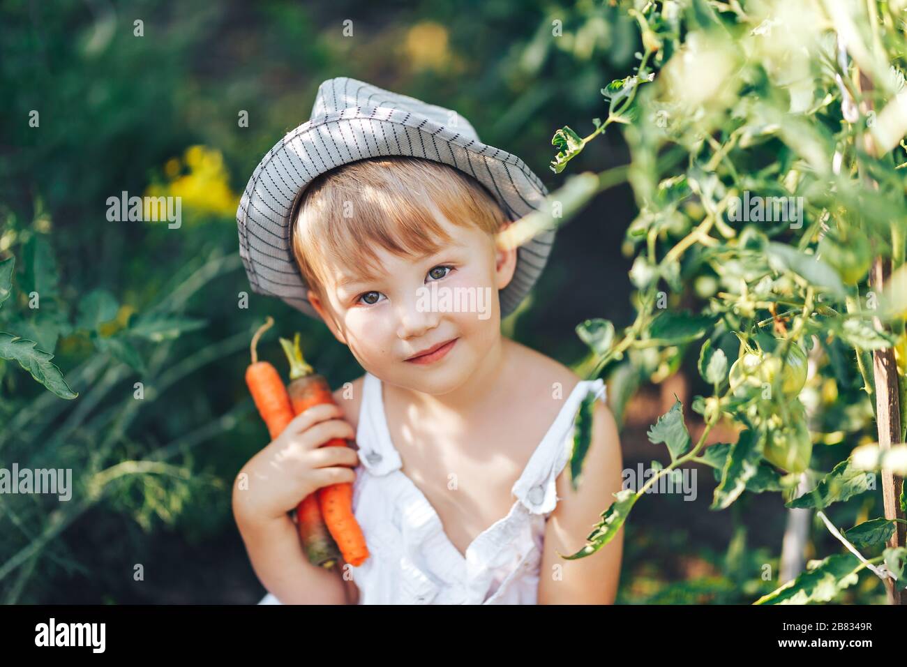 cute boy in hat and casual clothes sitting around tomatoes ang looking at camera, kid model posing in garden Stock Photo