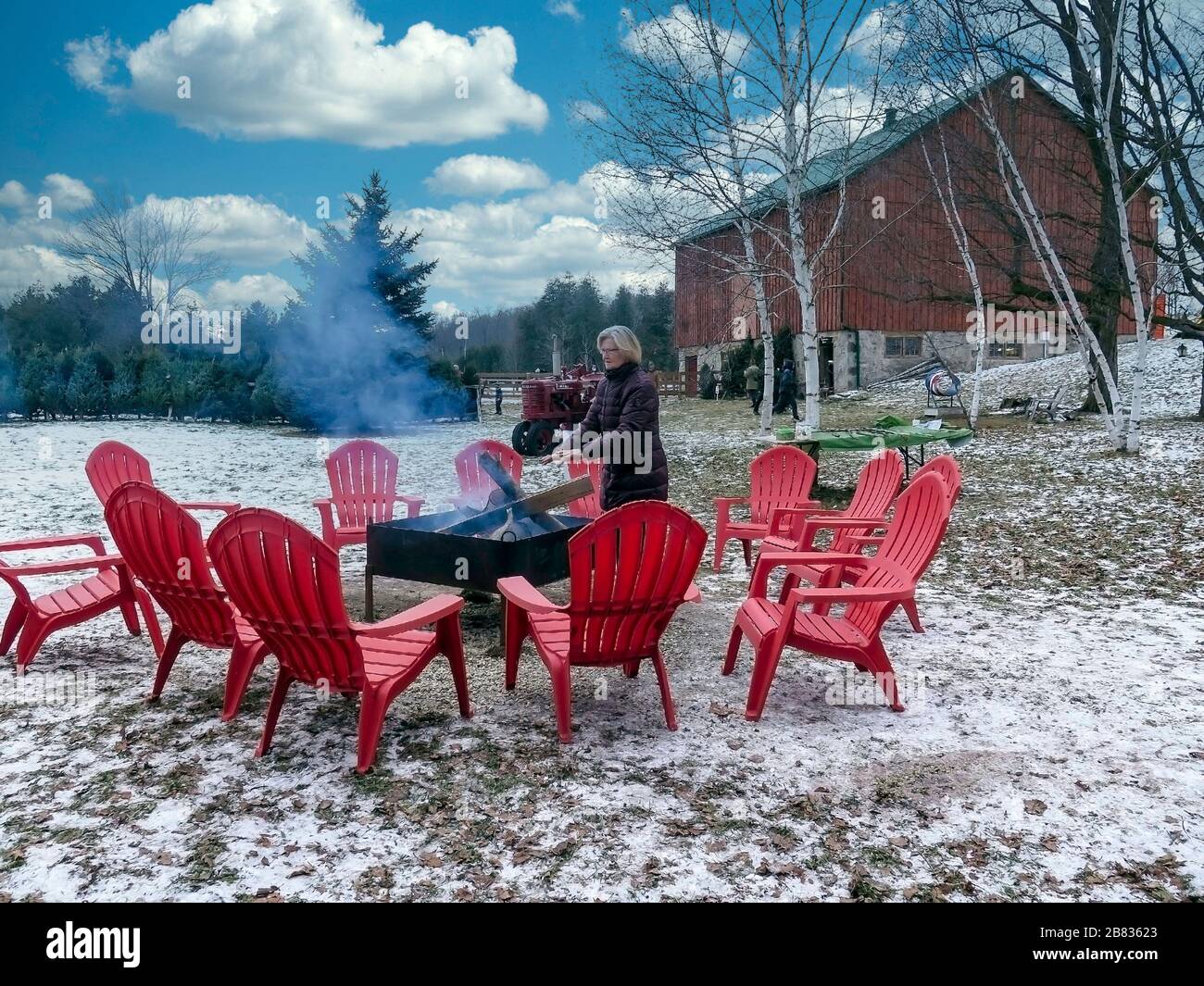 Scenes from Christmas Tree Farm in Hockley Valley near Orangeville