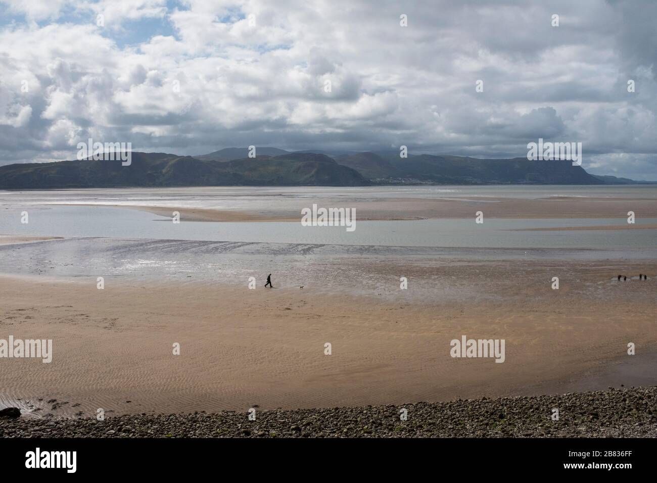 A man walking on North Shore beach, Llandudno, with Snowdonia in the background. Stock Photo