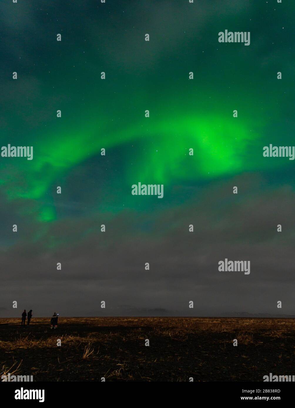 By standers looking at the developing Aurora Borealis outside of Vik, Iceland. Stock Photo