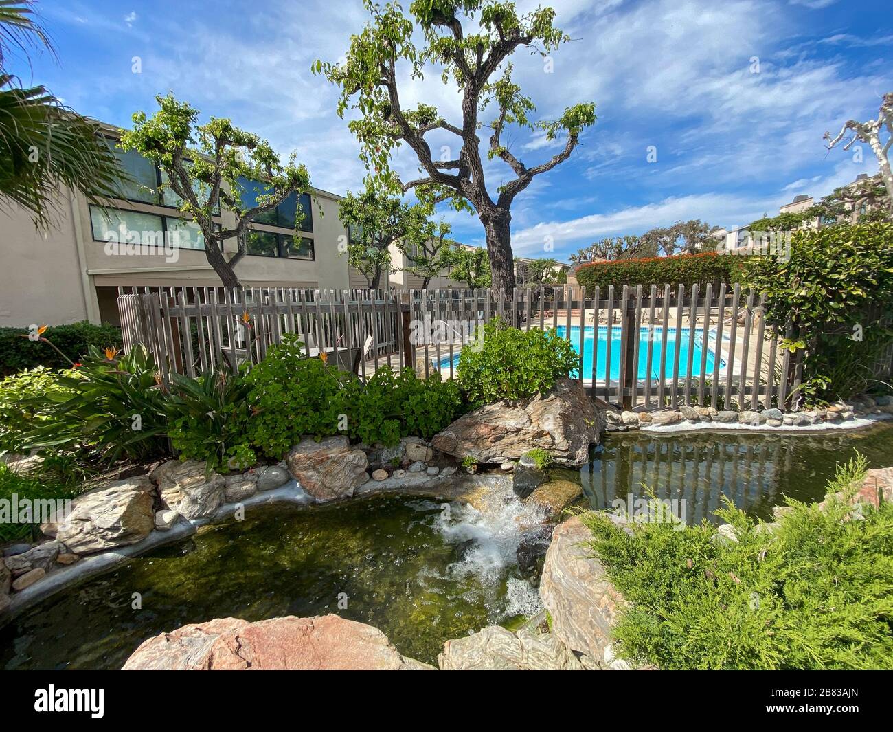 Clean garden and lawn along the walk path through the typical apartment