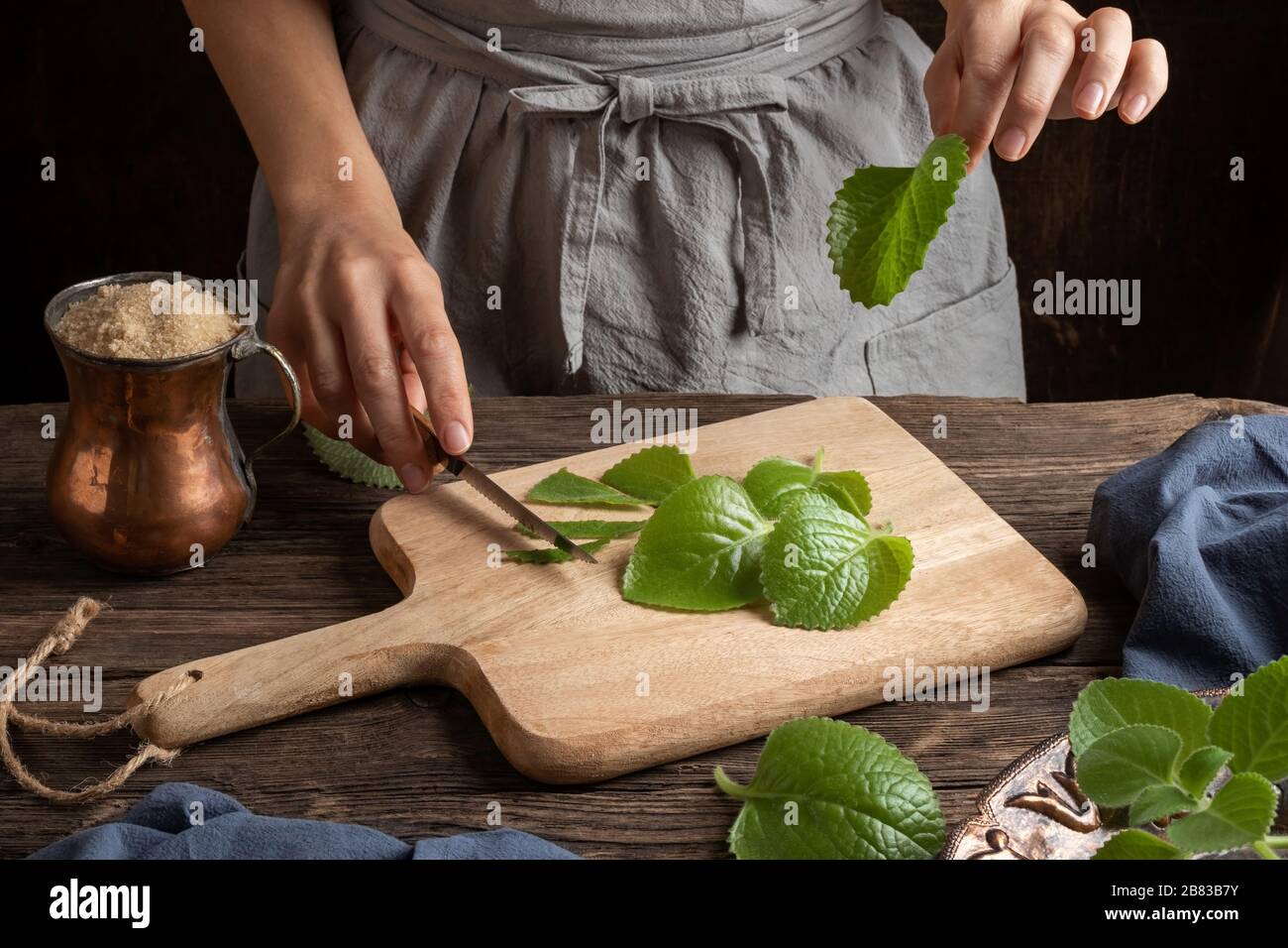 Cutting up silver spurflower leaves to prepare homemade herbal syrup against common cold Stock Photo