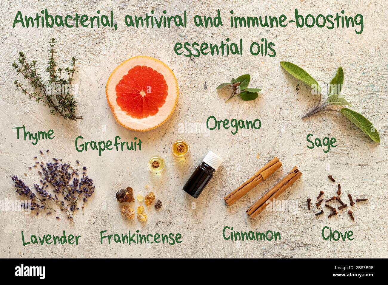 What Essential Oils are Antibacterial  