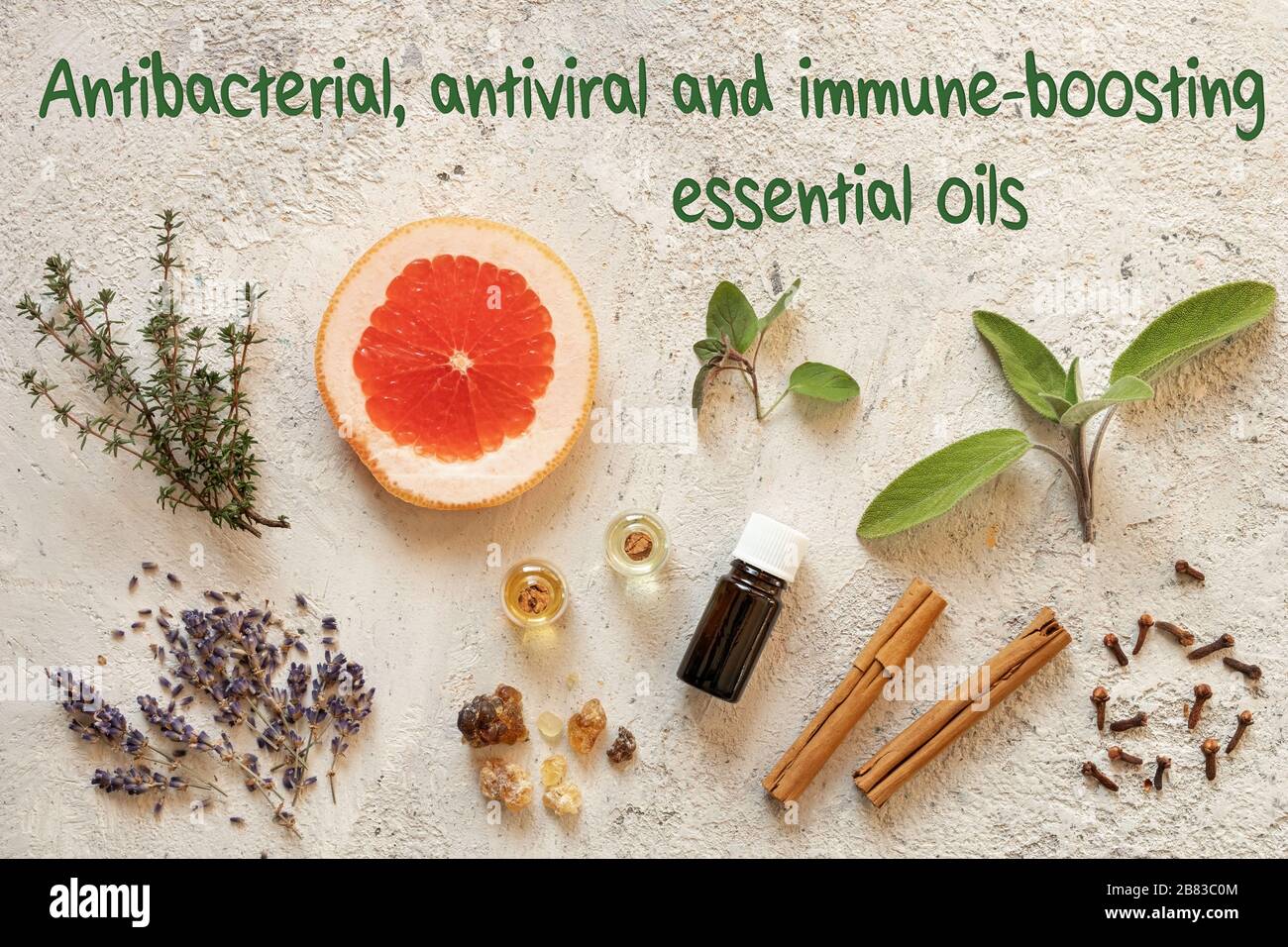 Selection of antibacterial, antiviral and immune-boosting essential oils on a bright background Stock Photo