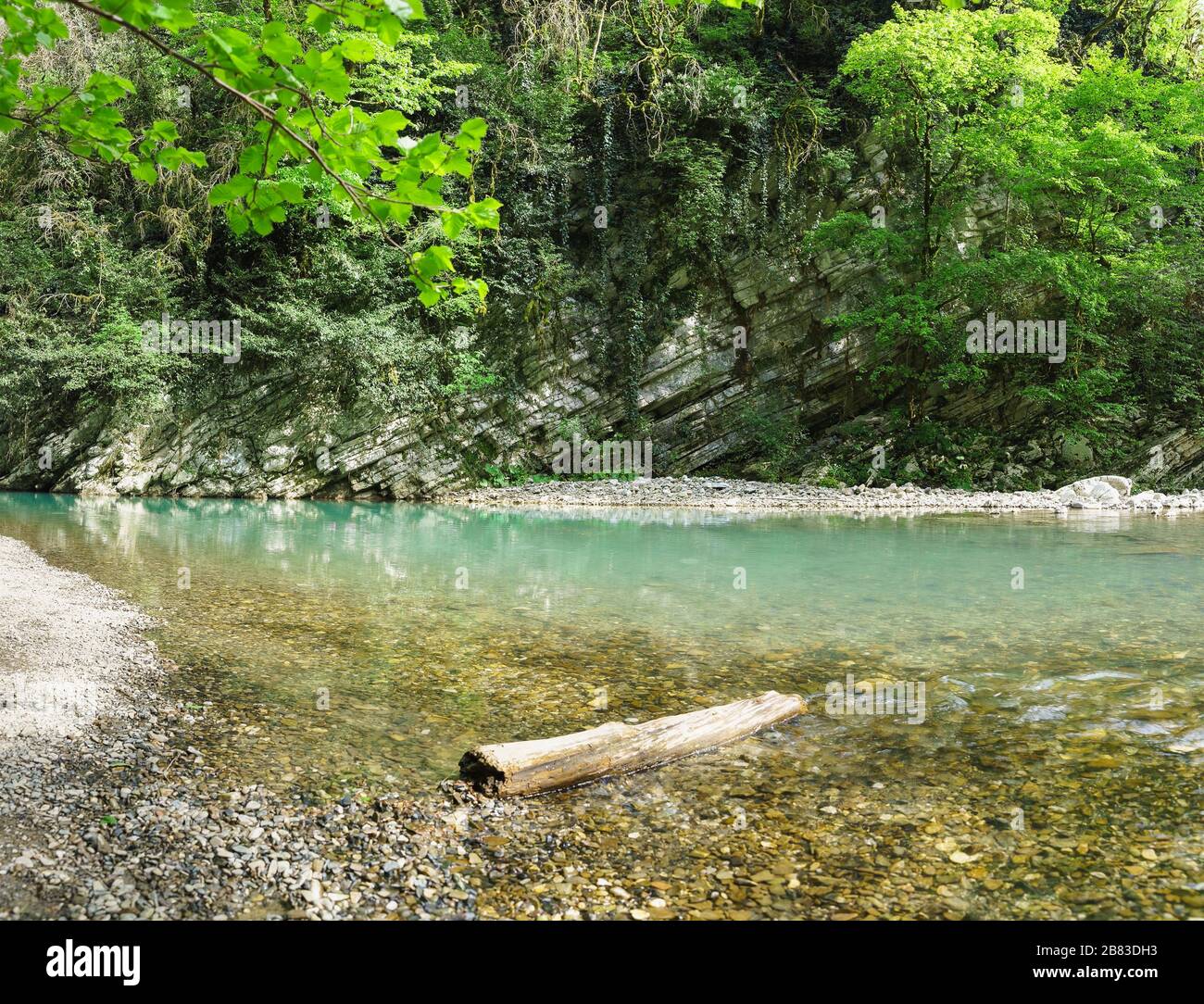 Layered rocks overgrown with ivy over the Khosta river in the Caucasus mountains, Sochi Stock Photo