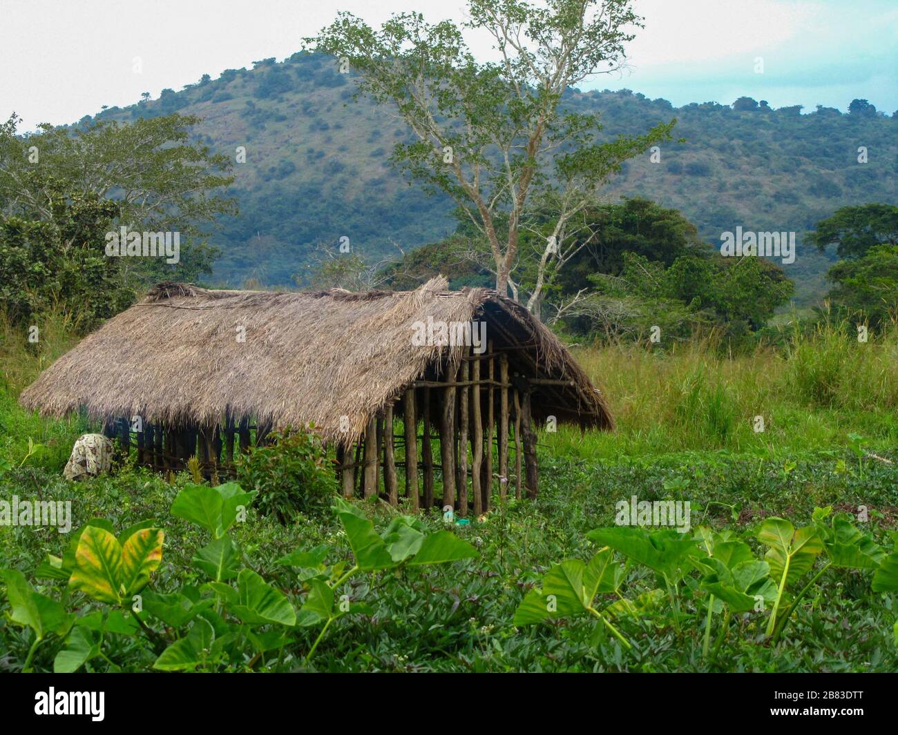 Farm hut in subsistence farm Stock Photo