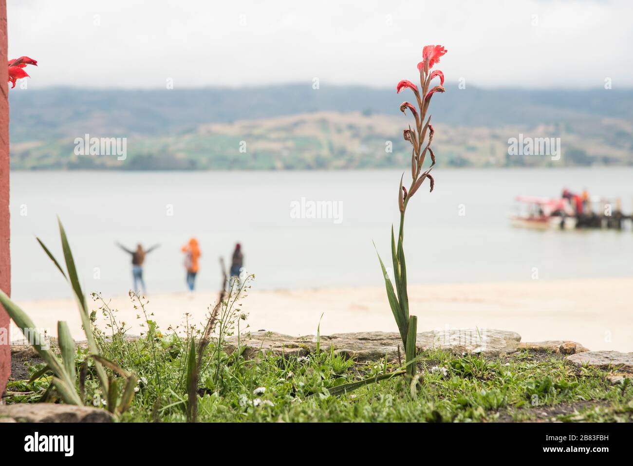 Lake Tota, Boyaca / Colombia: April 7, 2018: view of the largest lake in Colombia, flowers and happy tourists admiring the landscape Stock Photo