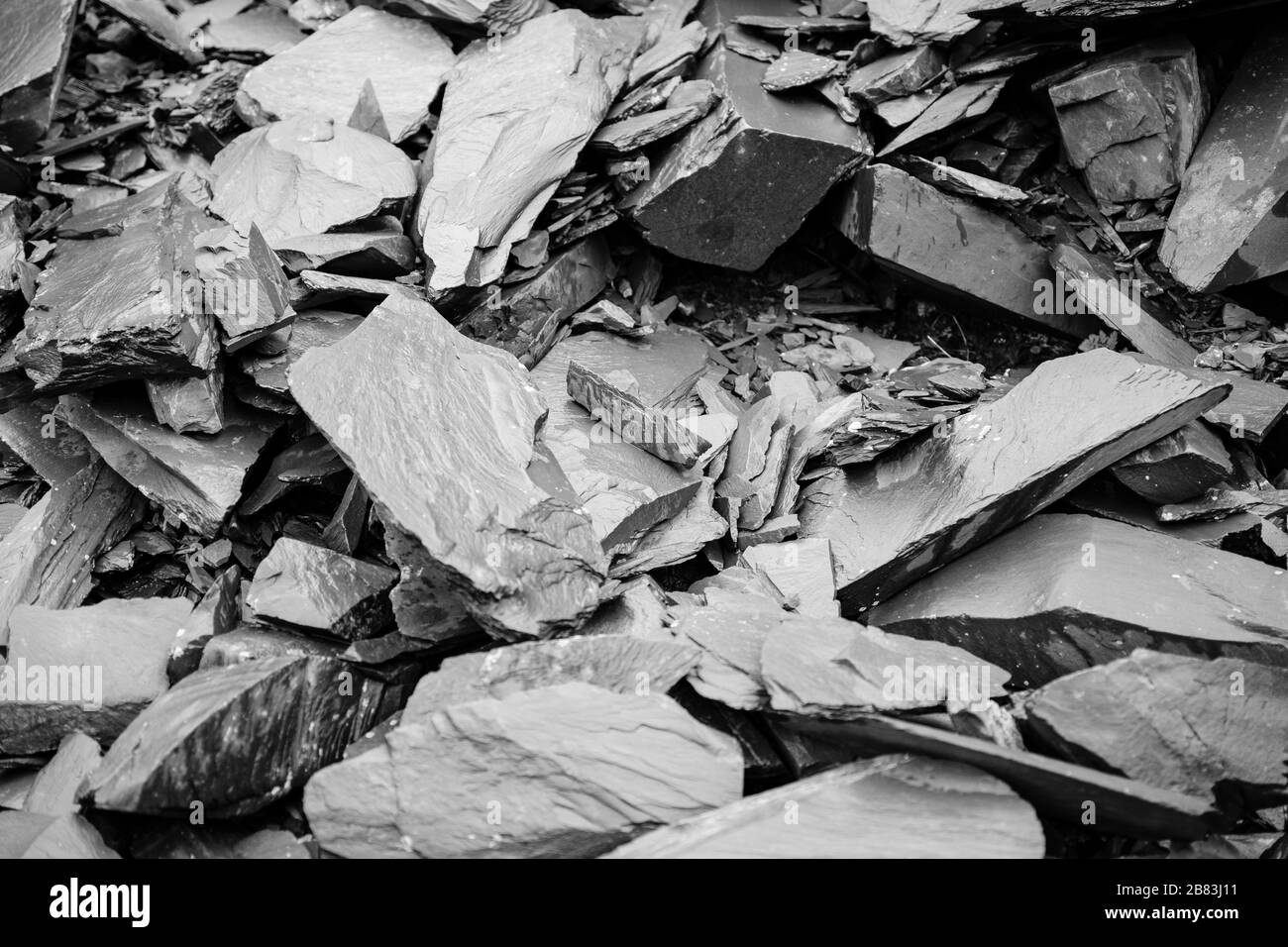 Snakes ladders Black and White Stock Photos & Images Alamy