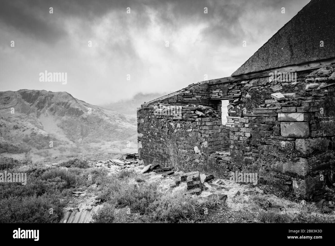 Snakes and ladders Black and White Stock Photos & Images Alamy